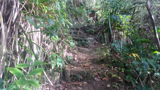 Le Sentier de la Onzième Ligne