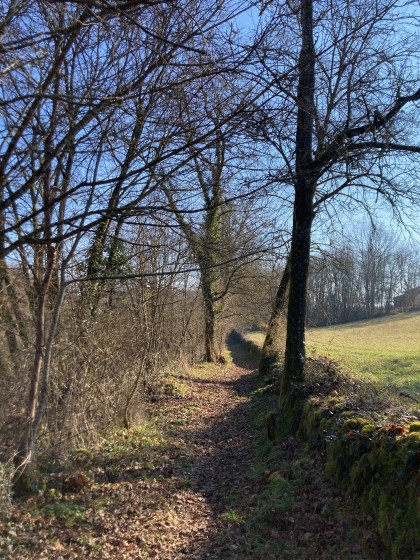 Le sentier de Marie-Claire