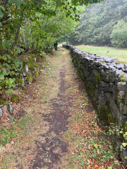 Le sentier de Marie Curie