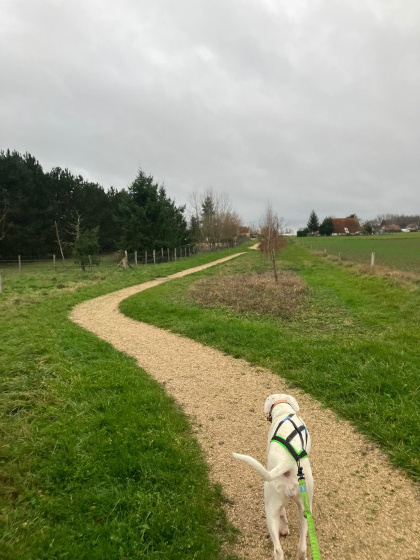 Le sentier des Abeilles