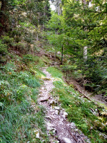 Le sentier des agneaux