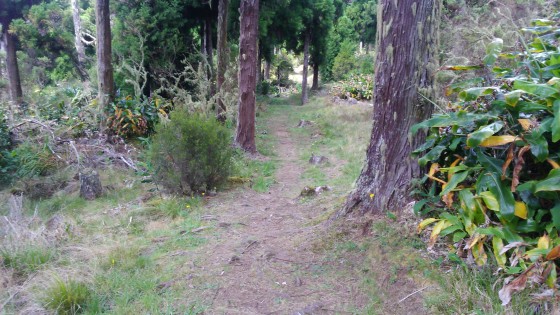 Le Sentier des Contreforts de la Scierie