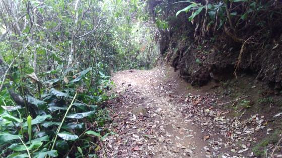 Le Sentier des Contreforts de la Scierie