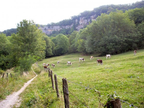 Le Sentier des Falaises du Ch&acirc;teau