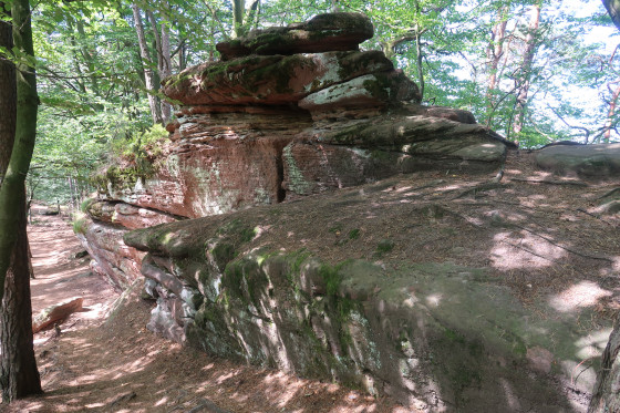 Circuit des quatre châteaux autour du Fleckenstein