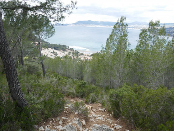 Le sentier descendant