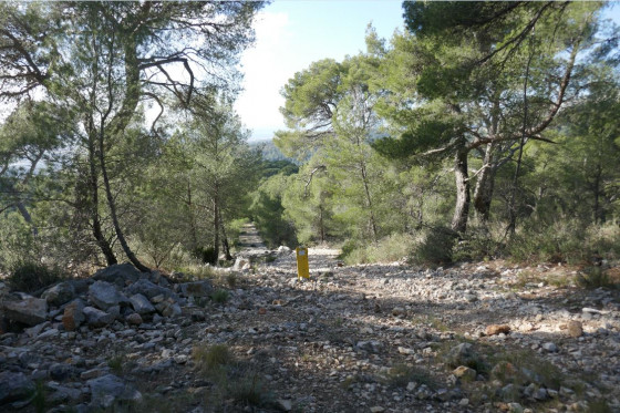 Le sentier dit du Gaz