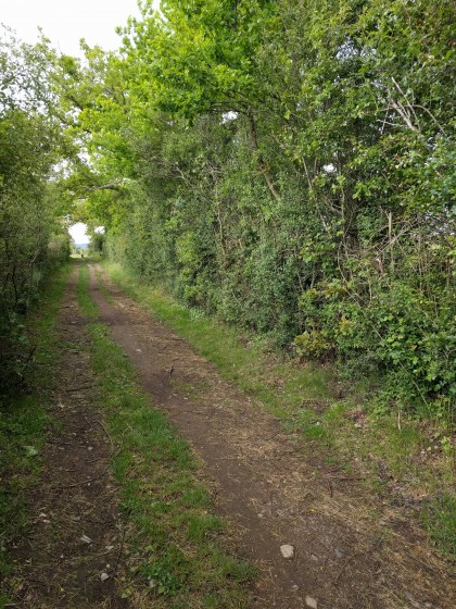 Le sentier du Chatelard