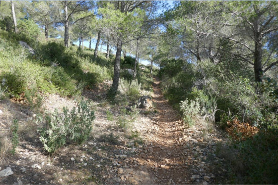 Le sentier du haut