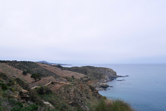 Le Sentier du Littoral