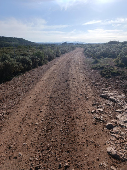 Le sentier du parcours