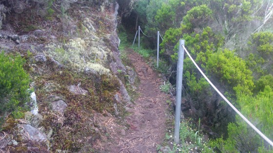 Le sentier du Petit Mapou