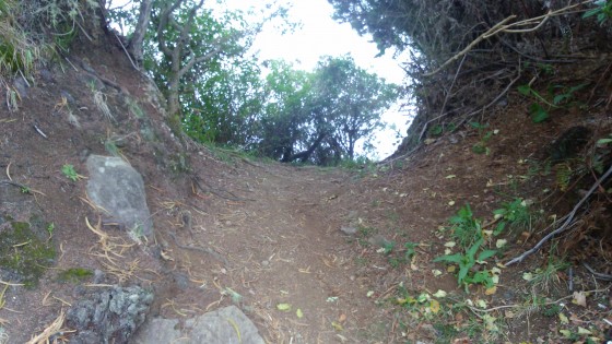 Le sentier du Petit Mapou