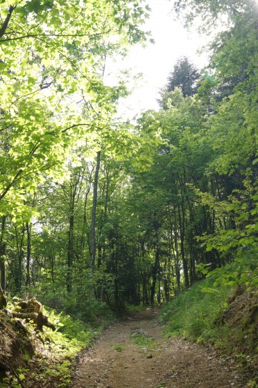 Le sentier emprunt&eacute;