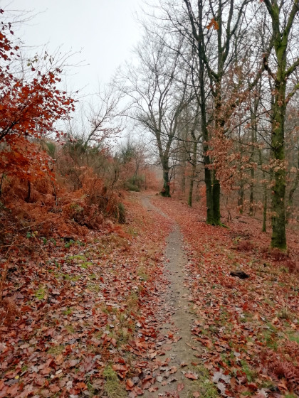Le sentier en automne
