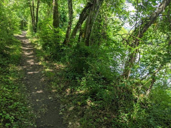 Le sentier en bordure du Lot