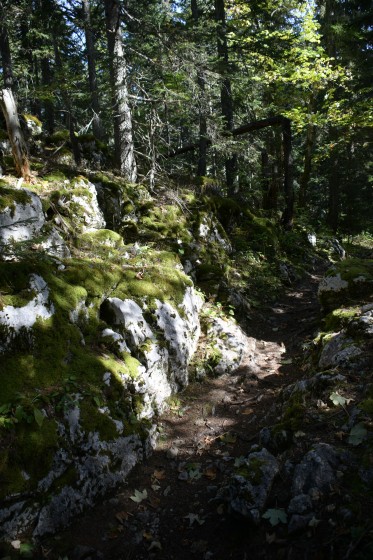 Le sentier entre Porte Barnier et Darbounouse