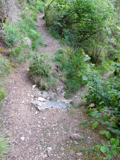 Le sentier Gaupillat