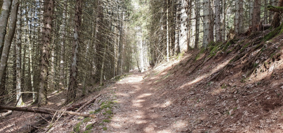 Le sentier juste apr&egrave;s Fau Laurent