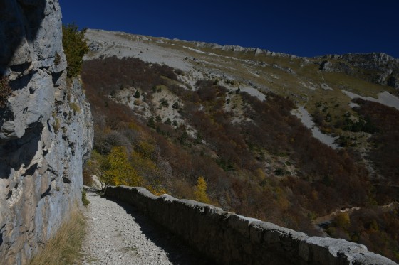Le sentier montant prend ses couleurs d\'automne