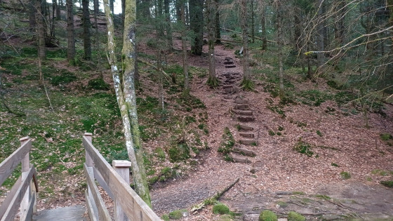 Le sentier qui descend vers l'Elz