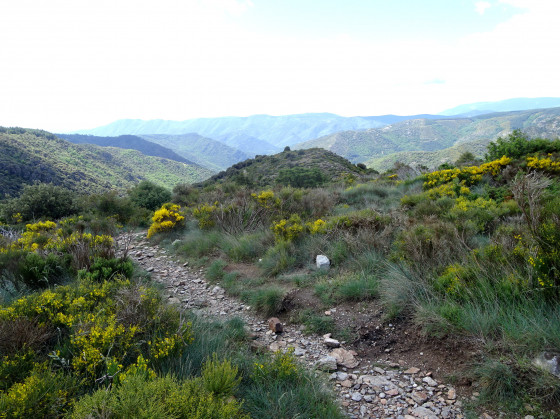 Le sentier qui descend vers Thines