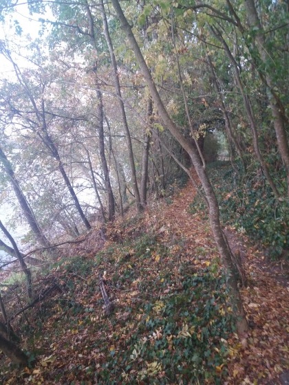 Le sentier qui longe la Loire