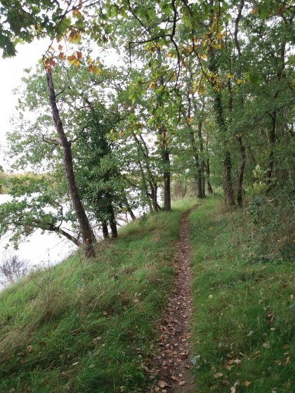 Le sentier longe la rive sauvage de la Loire