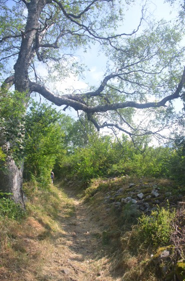 le sentier qui monte, qui monte