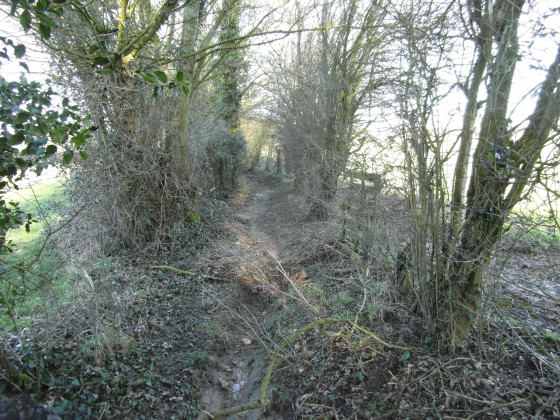 Le sentier-ruisseau après le point (9)