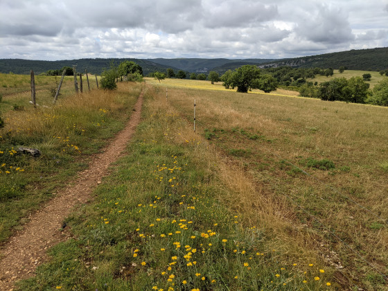 Le sentier sur le causse avant Cabrerets
