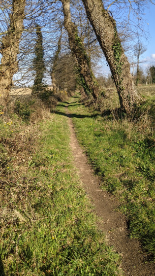 Le sentier sur le plateau du Placis des Noës