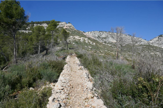 Le sentier sur un mur