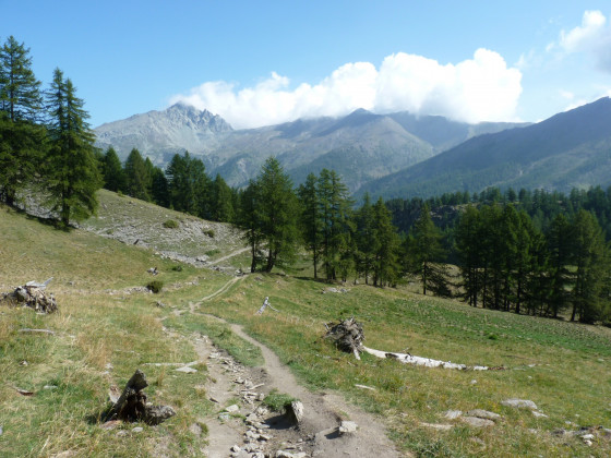 Le sentier traverse un alpage