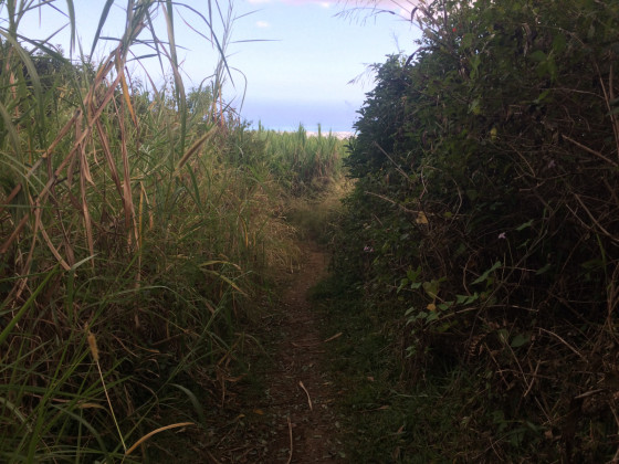 Le sentier