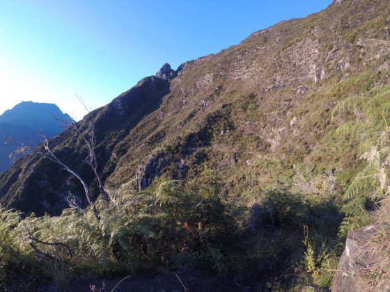 Le sentier