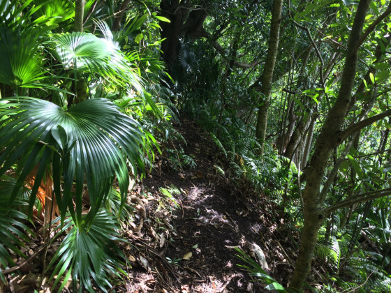 Le sentier