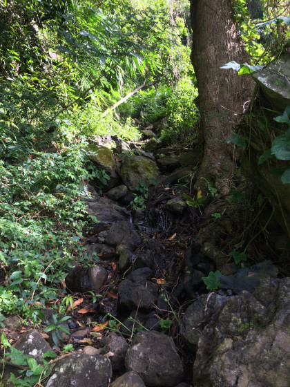 Le sentier