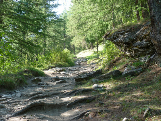 Le sentier