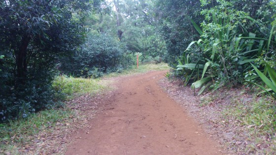 Le sentier