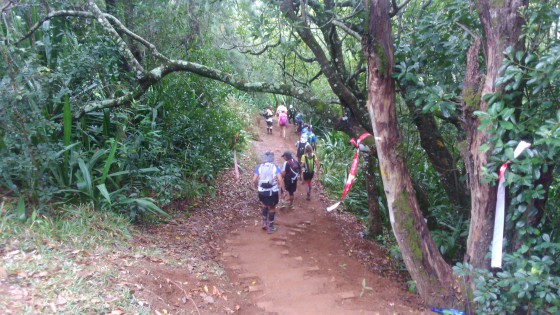 Le sentier