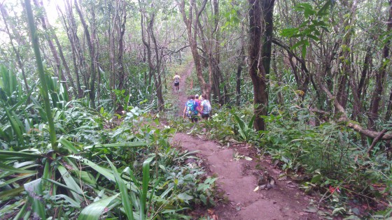 Le sentier