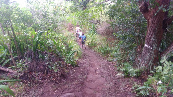 Le sentier
