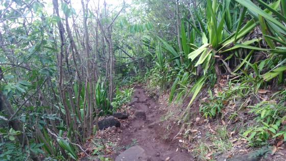 Le sentier