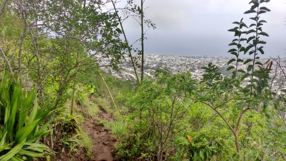 Le sentier