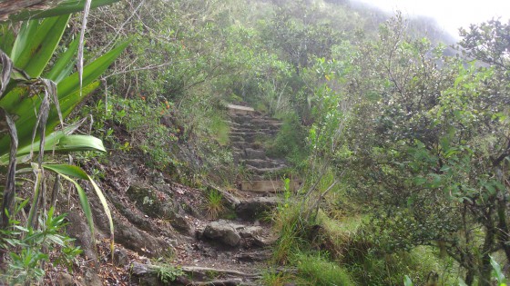 Le sentier