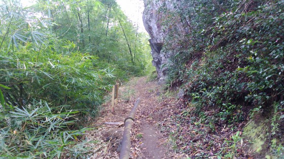 Le sentier