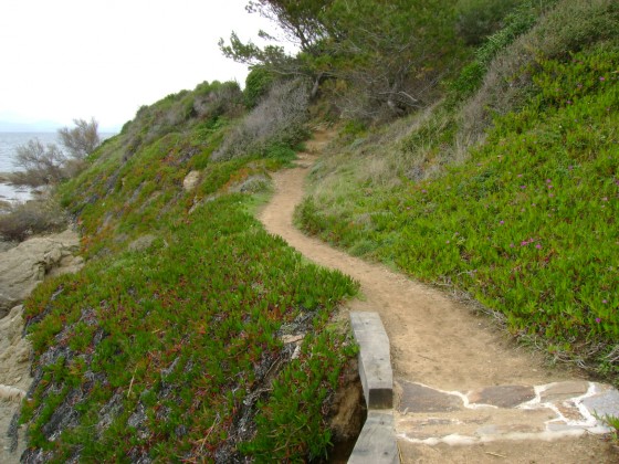 Le sentier