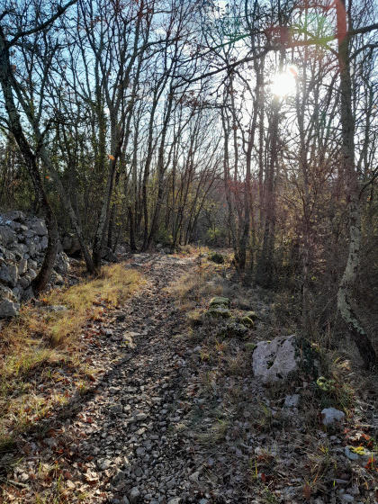 Le sentier