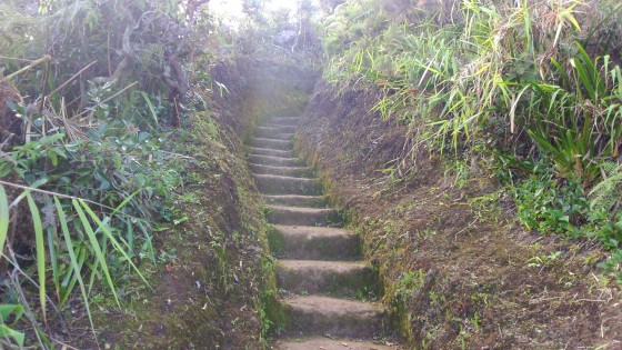 Le sentier